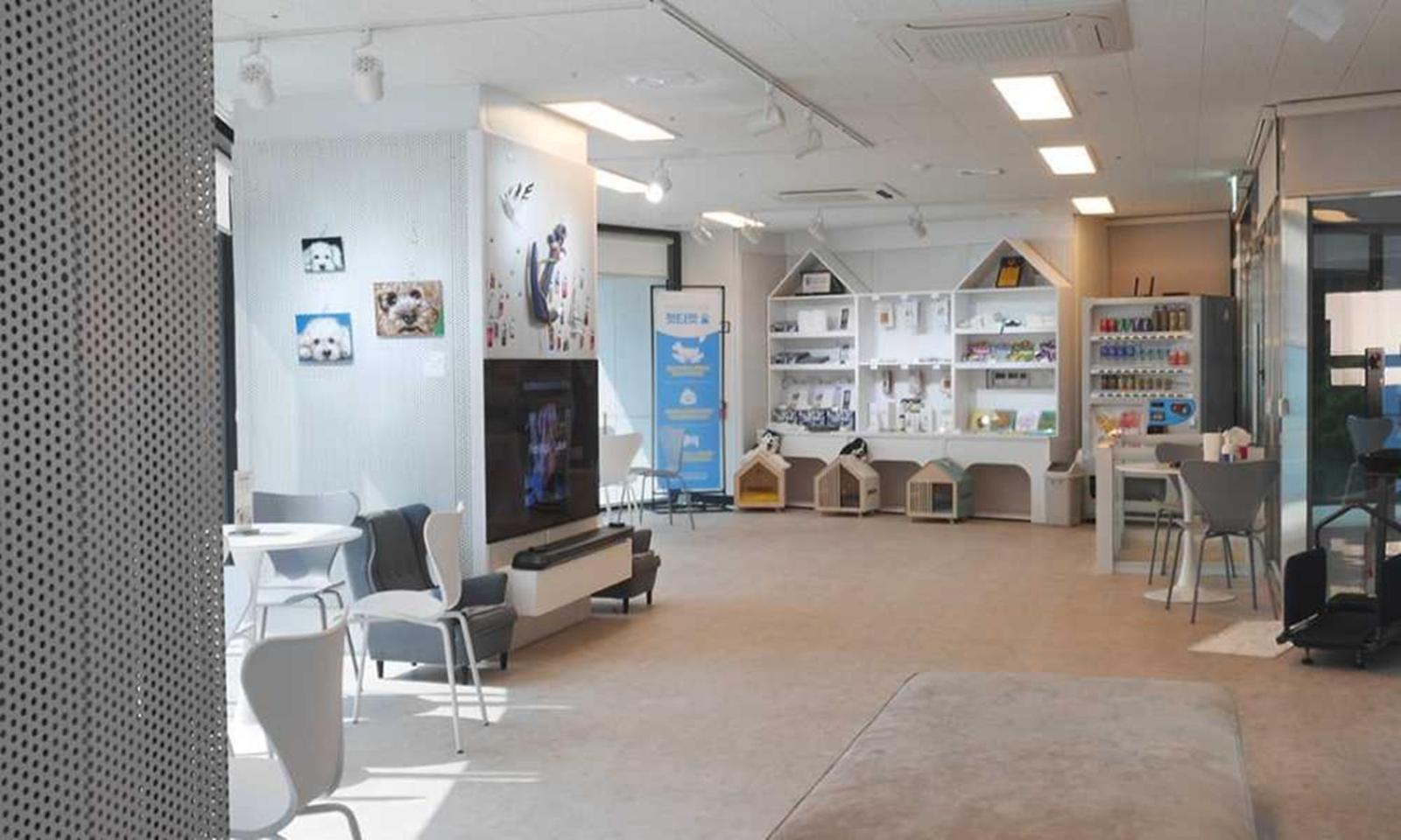 Busan Yeongmu Parade Hotel Haeundae Beach Екстер'єр фото
